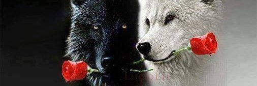 Brazers_Blog's profile banner image