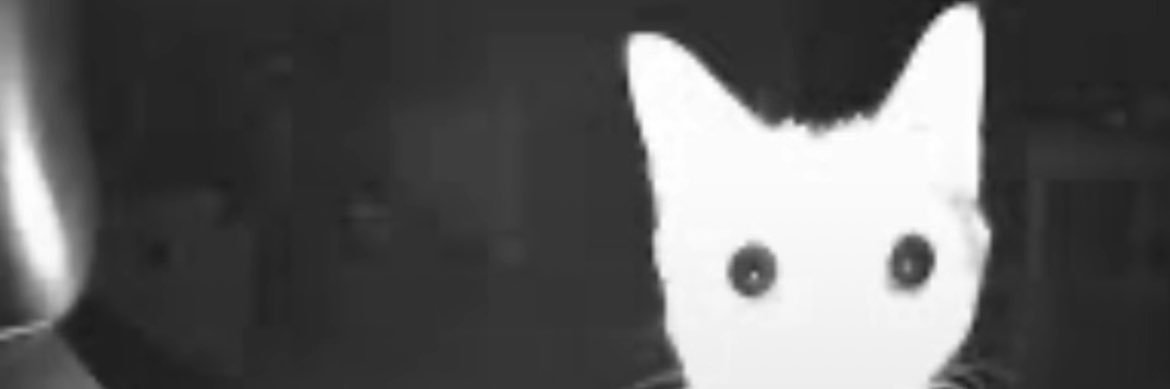 brookiedoughh's profile banner image