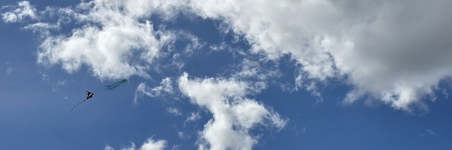 gab banner