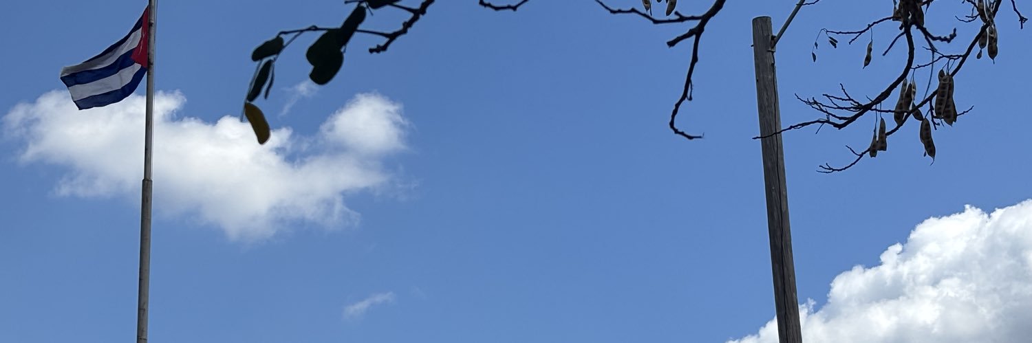 Dianipp's profile banner image