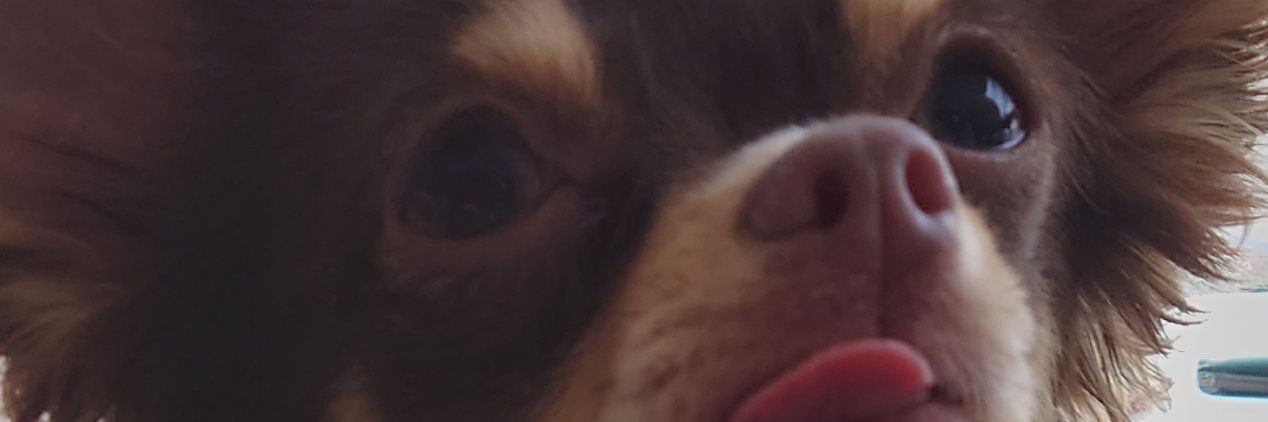 odaruma30's profile banner image
