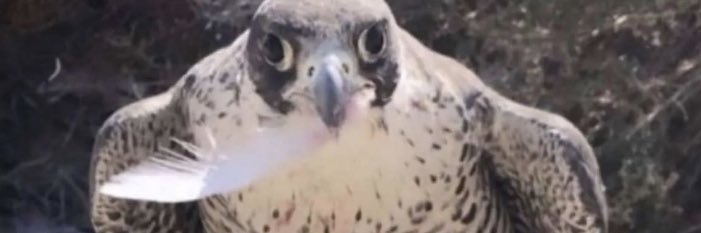 mshlmshl078's profile banner image