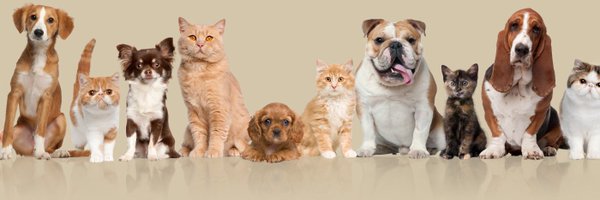 LostPetsRetweet Profile Banner