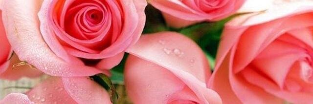 souko_ja's profile banner image