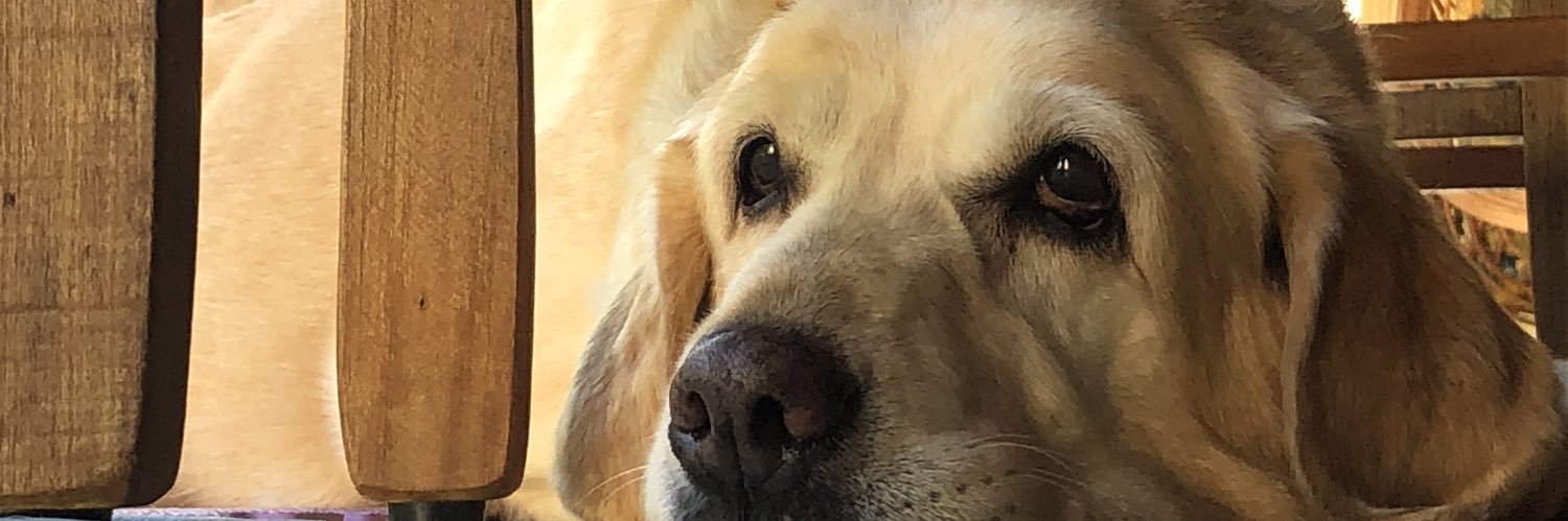 giukkkj's profile banner image