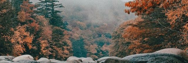 Karolina_GF's profile banner image