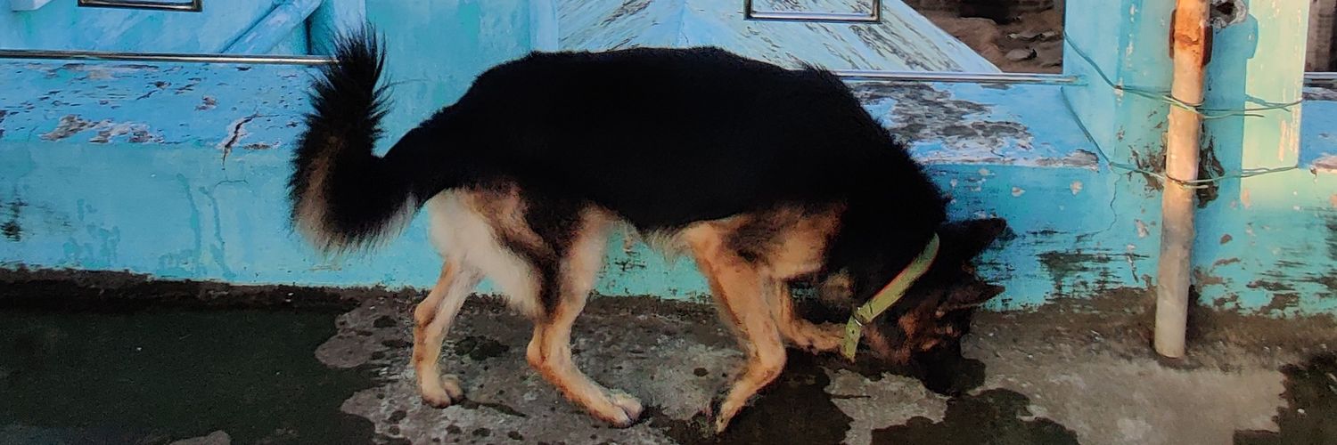 PradattaN's profile banner image