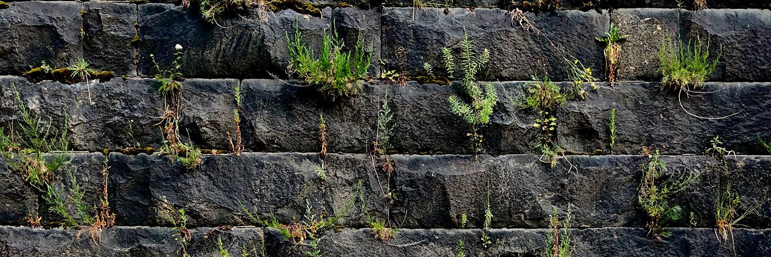 MinnaMattsson's profile banner image