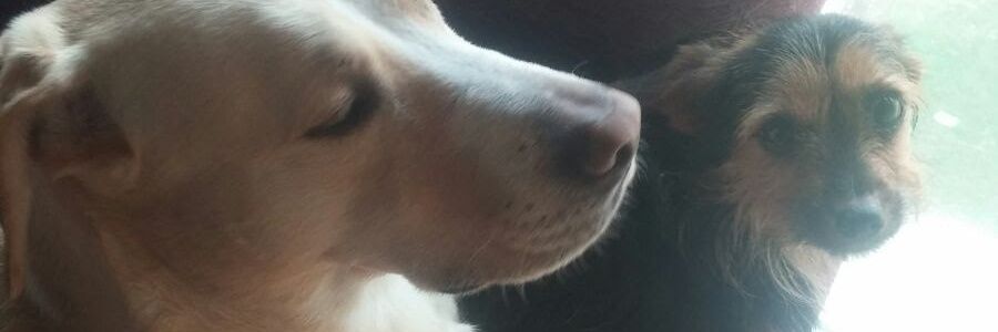 espe70906's profile banner image