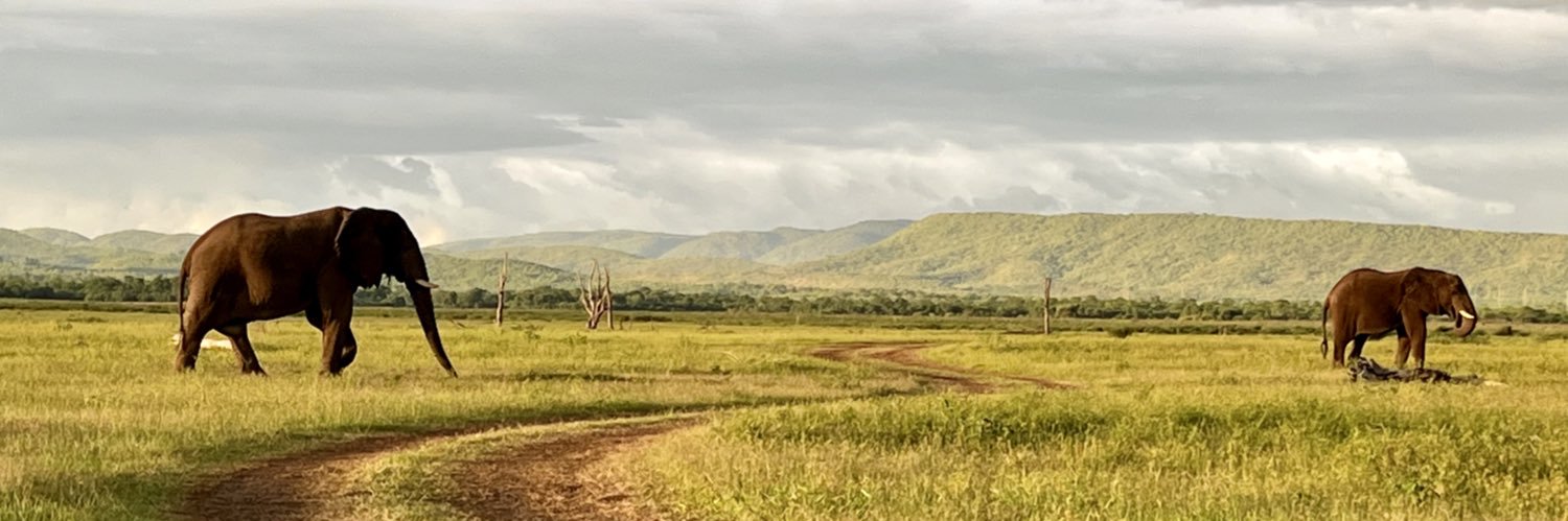 Garth Theunissen banner