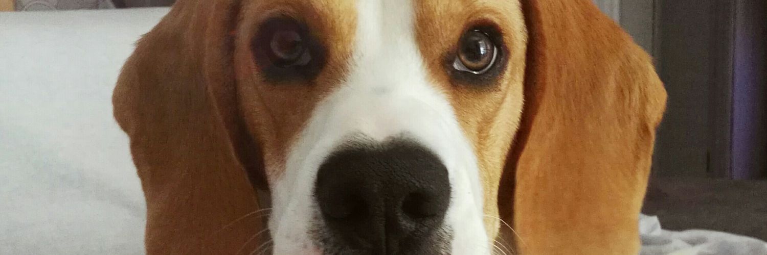 MeryCrdenas's profile banner image