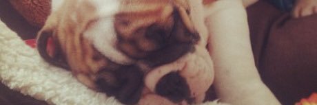 _SamLait's profile banner image