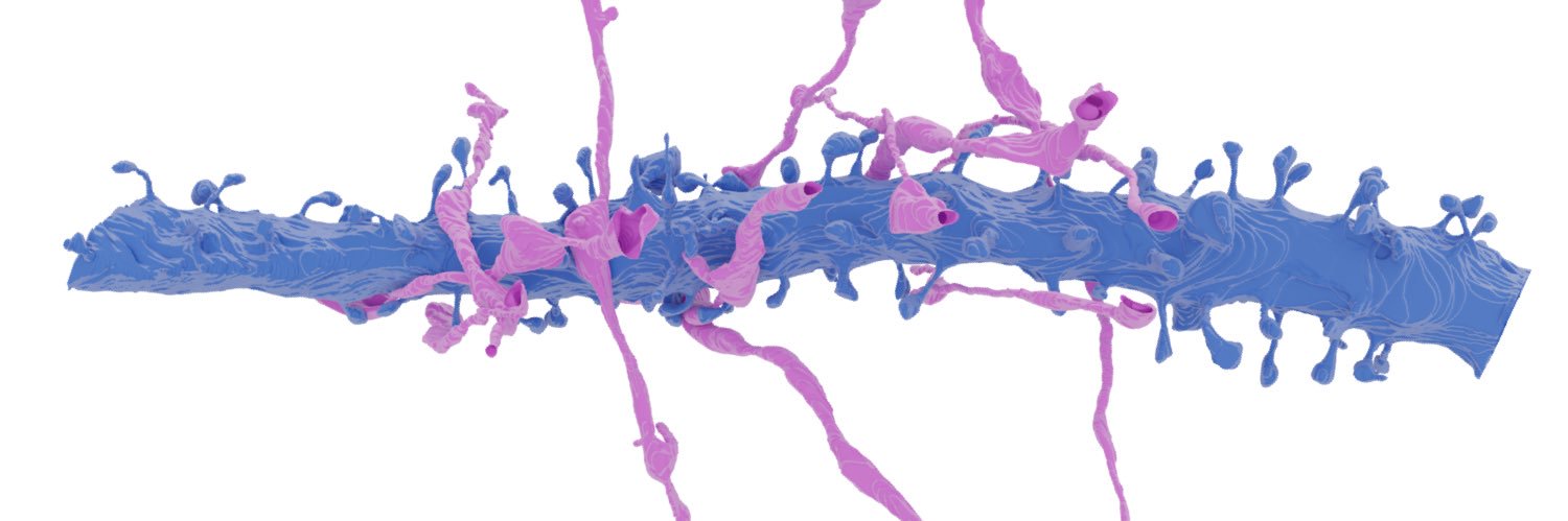 Mojtaba R. Tavakoli l مجتبی توکلی banner