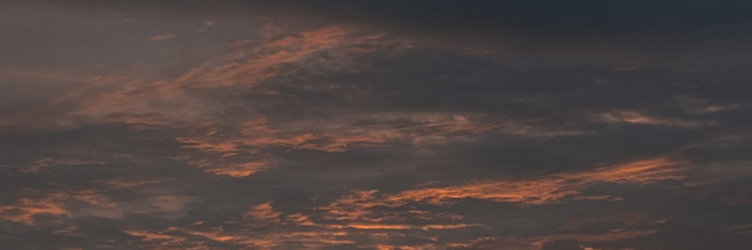 luciaadauto's profile banner image