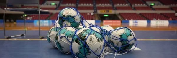 アグレミーナ浜松(日本フットサルトップリーグ) banner