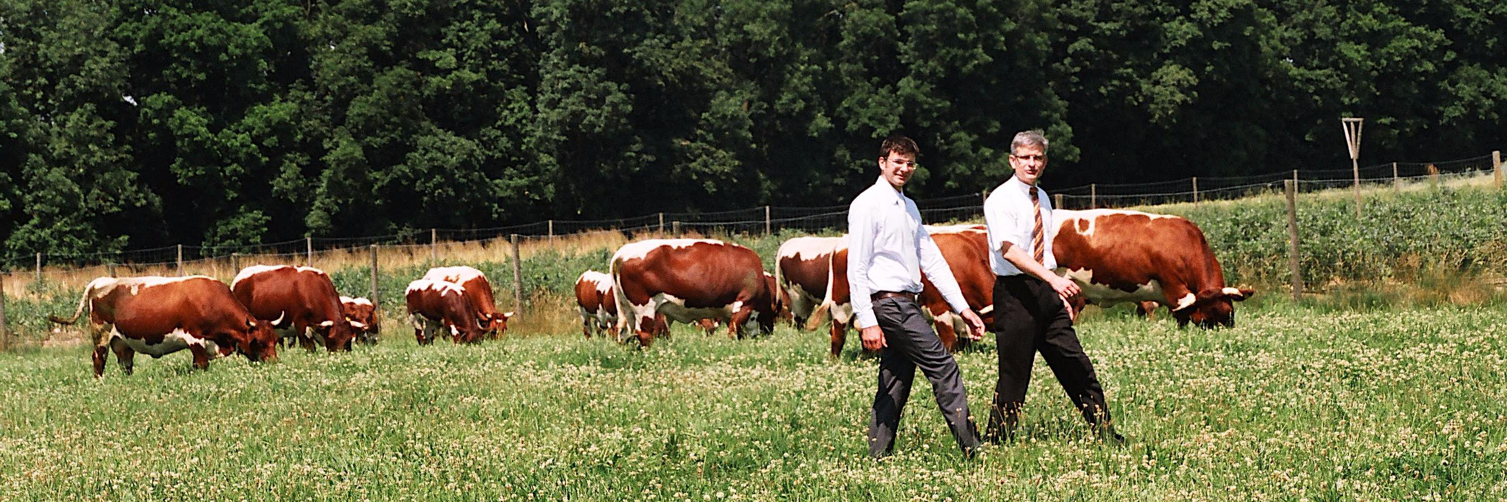 Hof und Leben GmbH banner