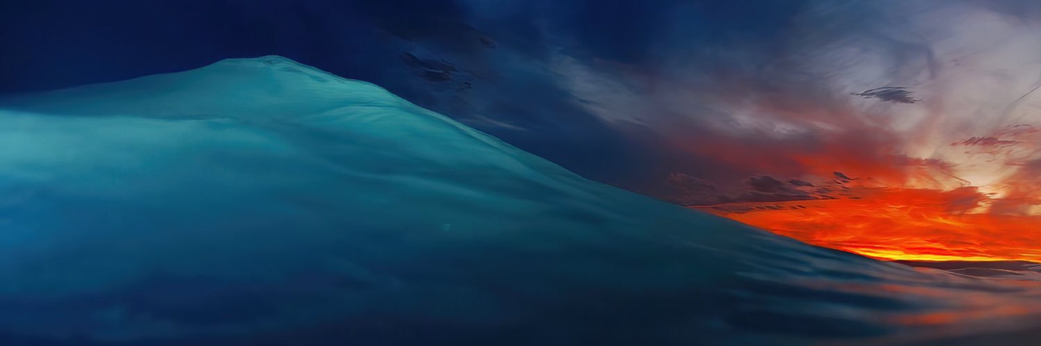 arvin banner