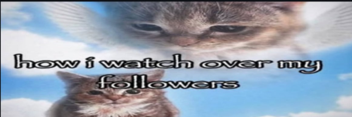 bulletbby's profile banner image