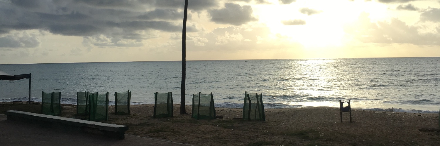 Janalopees's profile banner image