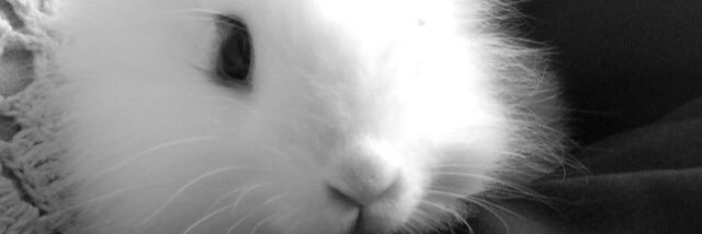 VicManzeli's profile banner image