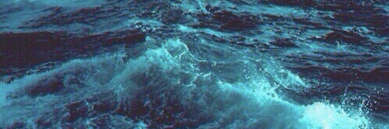 thevictoriae's profile banner image