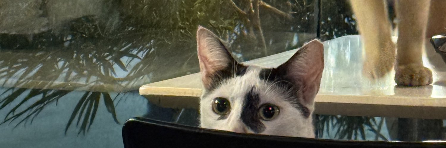 Pmldizzy's profile banner image