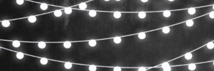 sea_bee_real's profile banner image