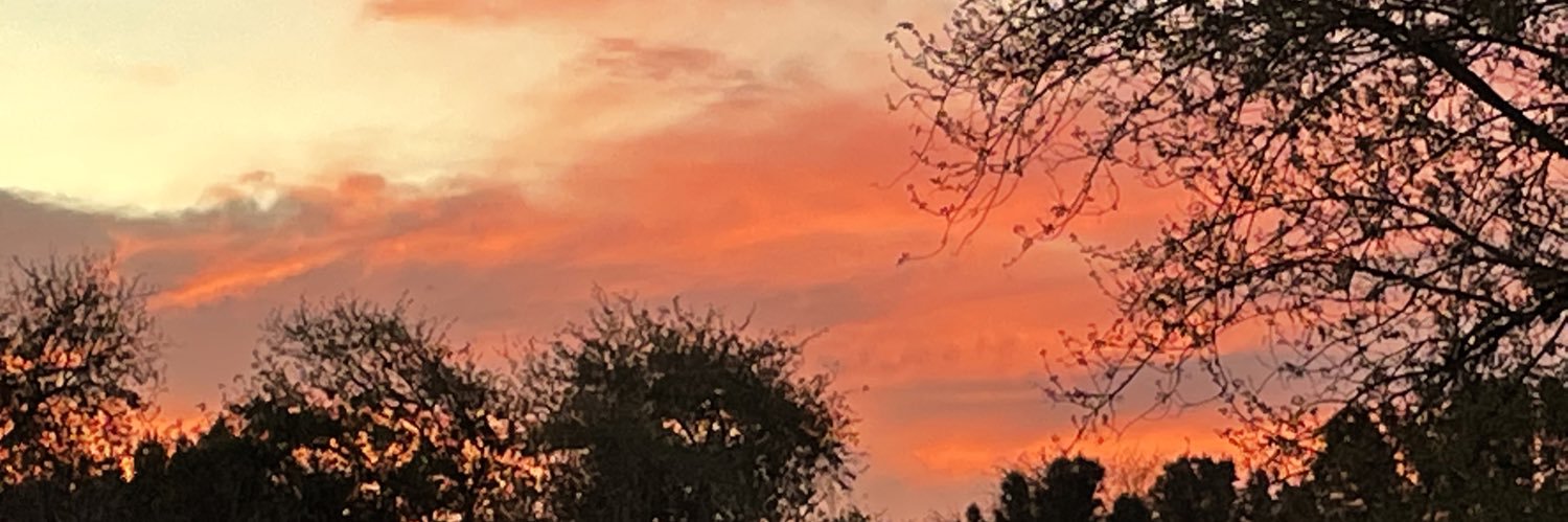 MissJodi73's profile banner image