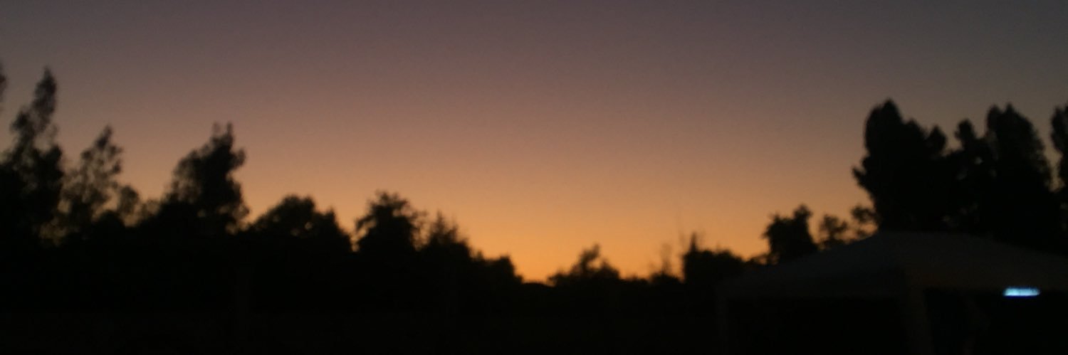 vguzolm's profile banner image