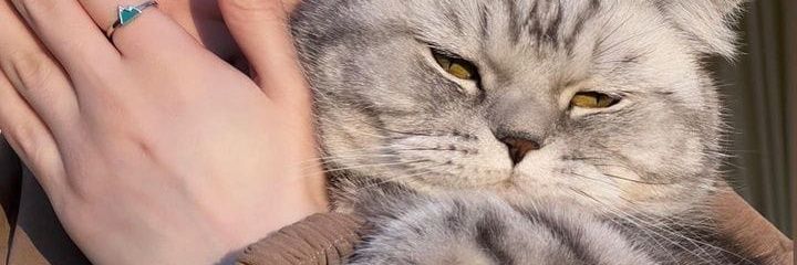 meukin's profile banner image