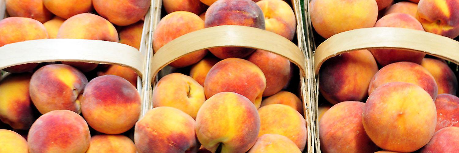 tiolisub91's profile banner image