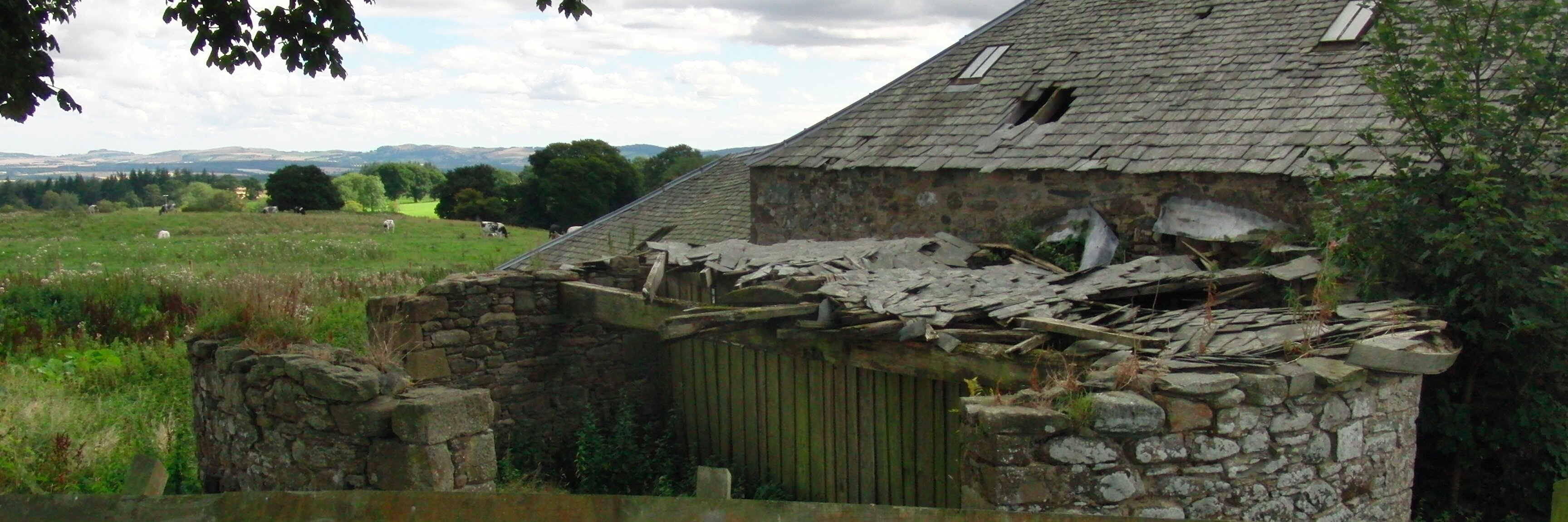 Keesje (Crawford) Avis banner