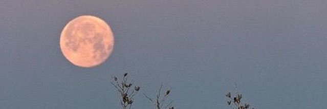 Ashleigh_Terry's profile banner image