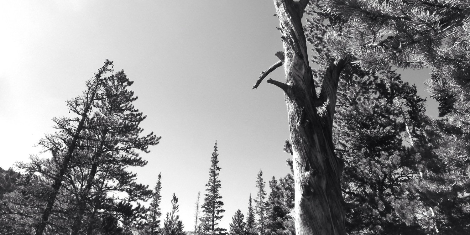 samschec's profile banner image