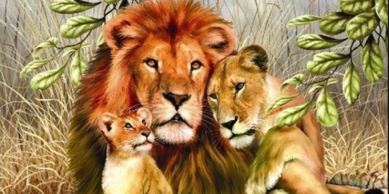 ✨DORALYS H.✨ banner