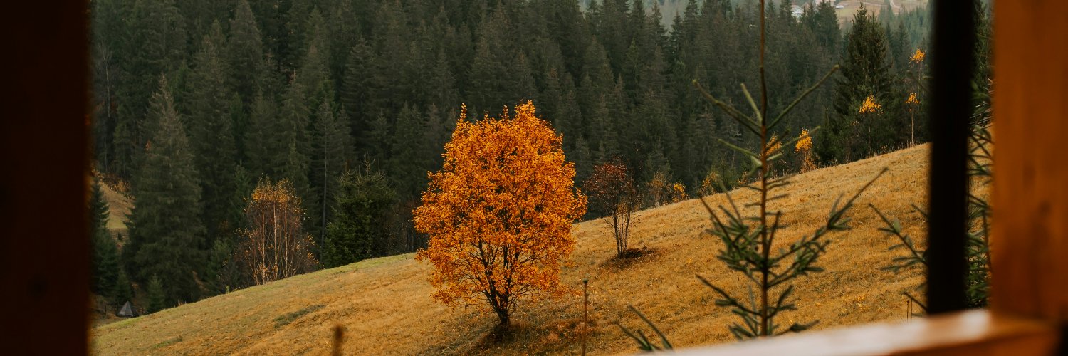 DLT_Ed's profile banner image