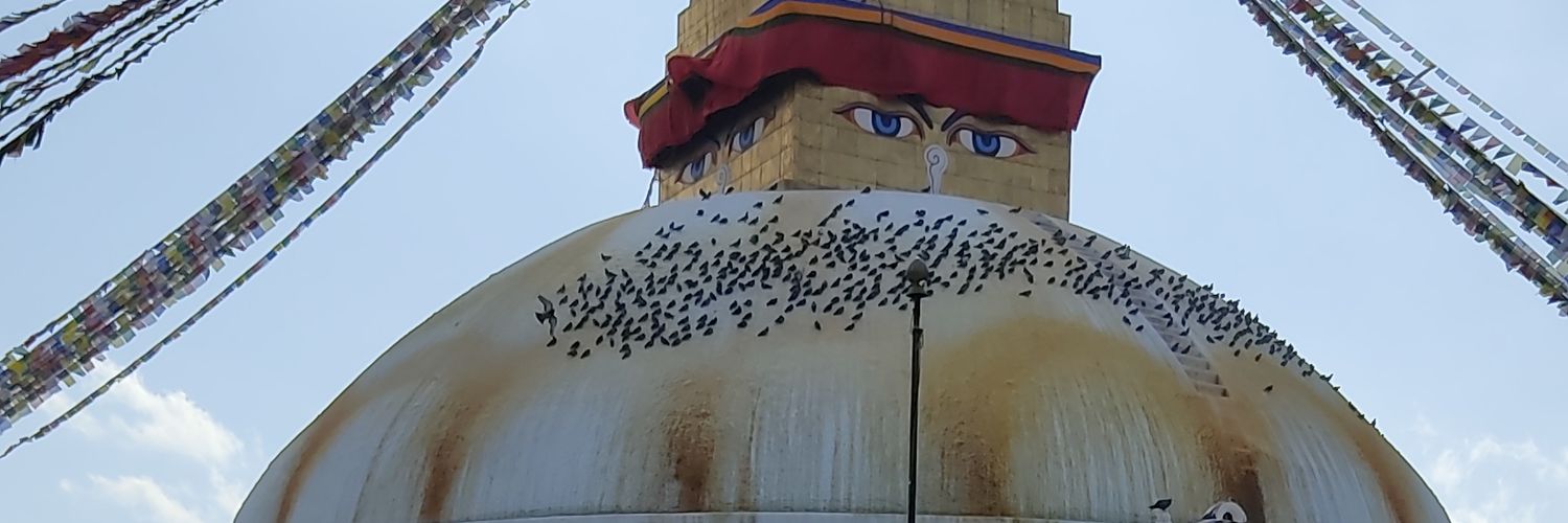 rosyprakash's profile banner image