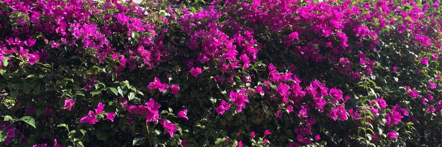 Mary804_'s profile banner image