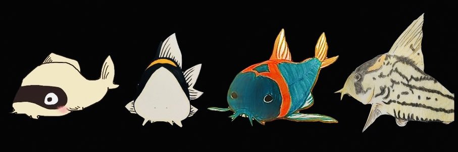 boscodx's profile banner image