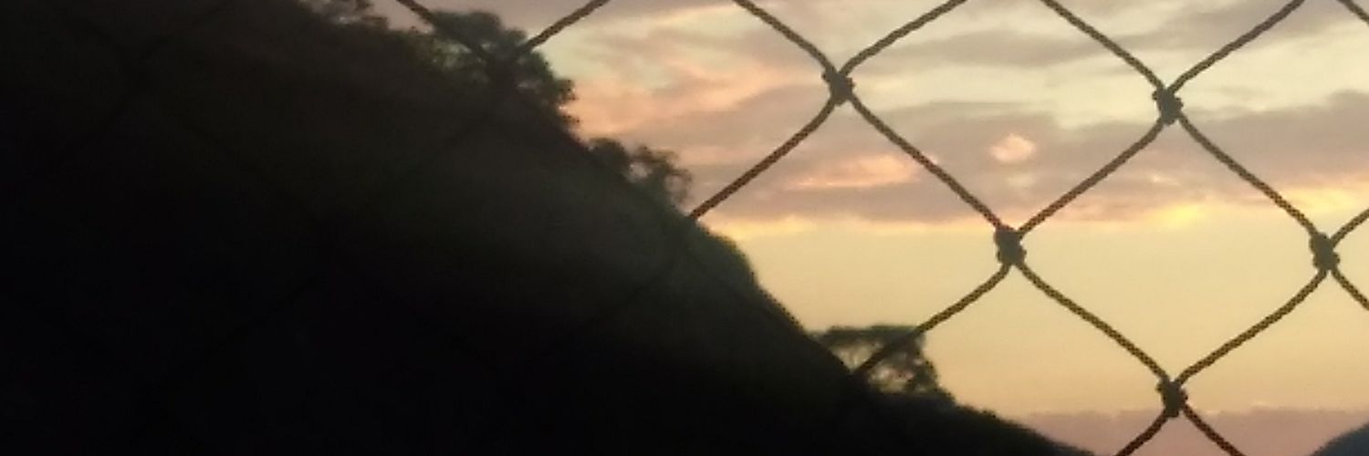 Regnan11's profile banner image