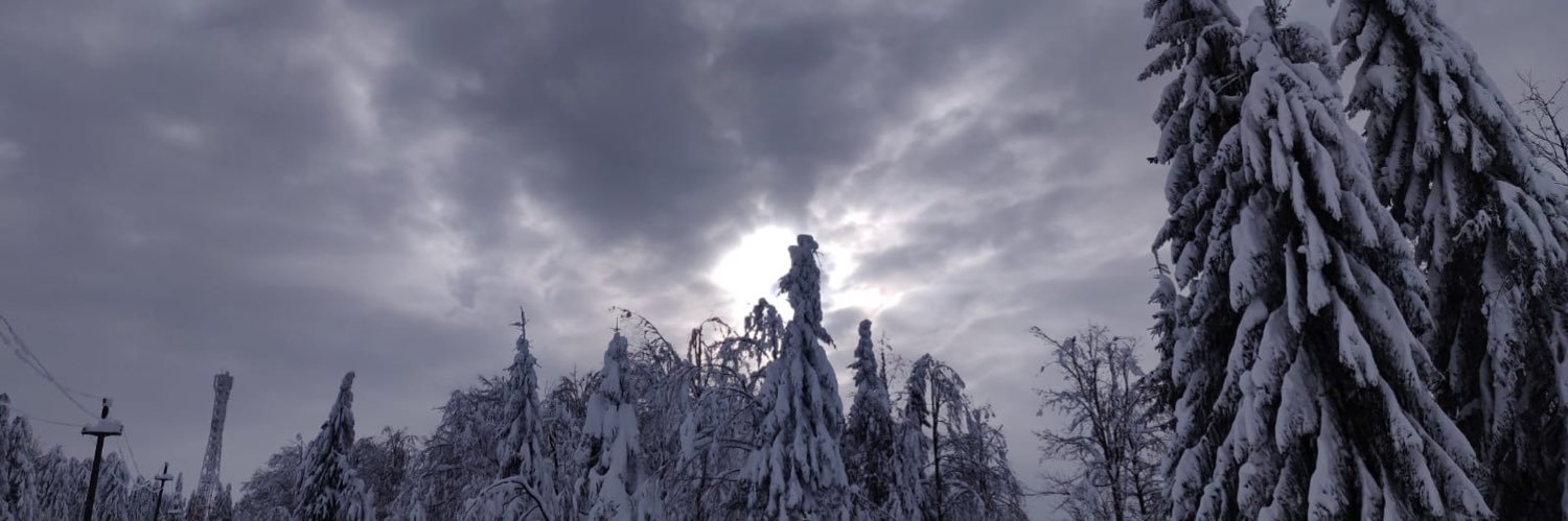AviZakin's profile banner image