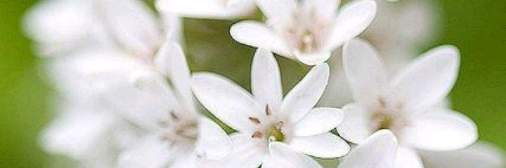Maha4849's profile banner image