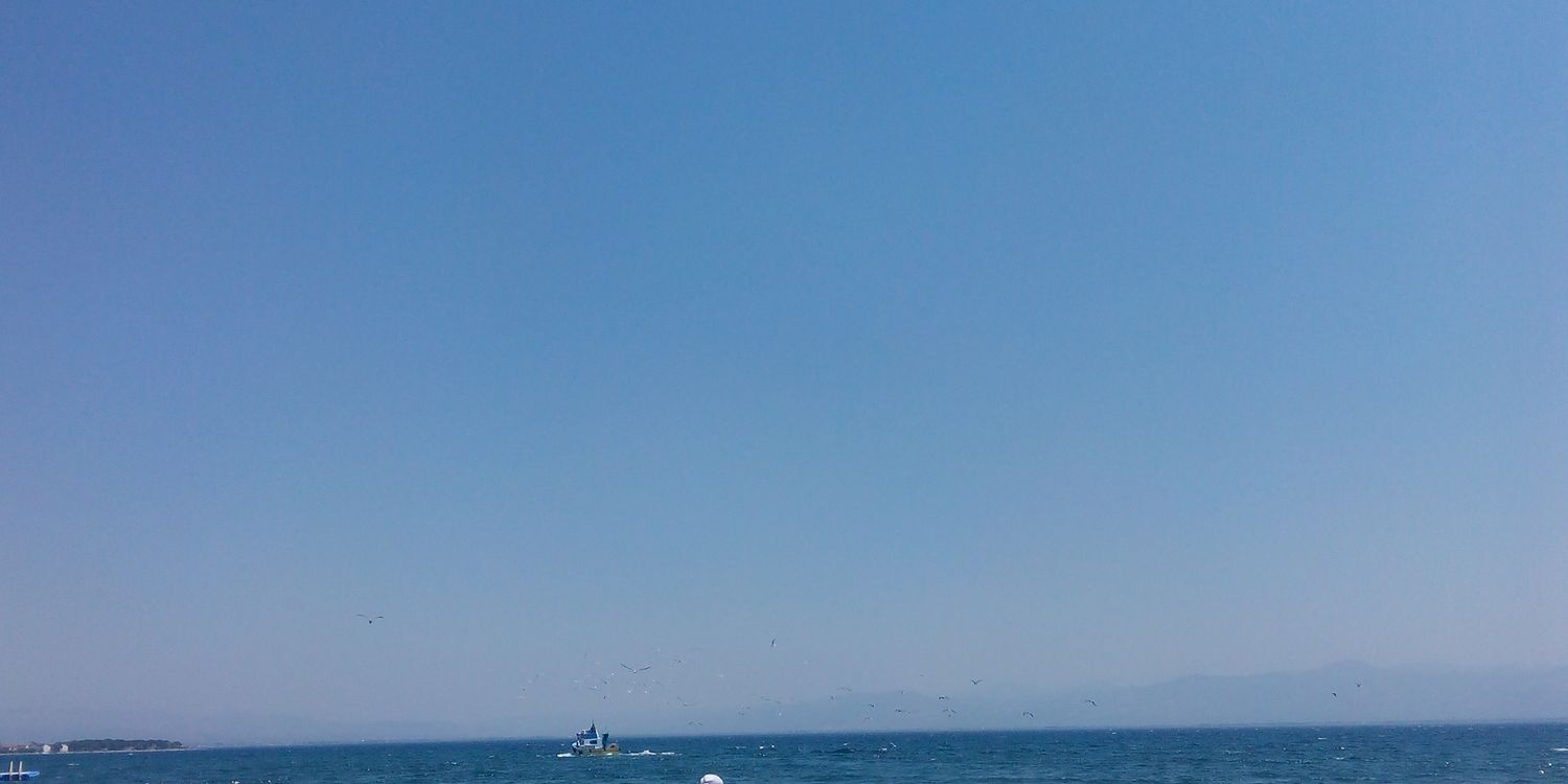BaysalBerna's profile banner image