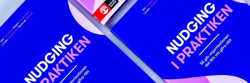 Ida Lemoine banner