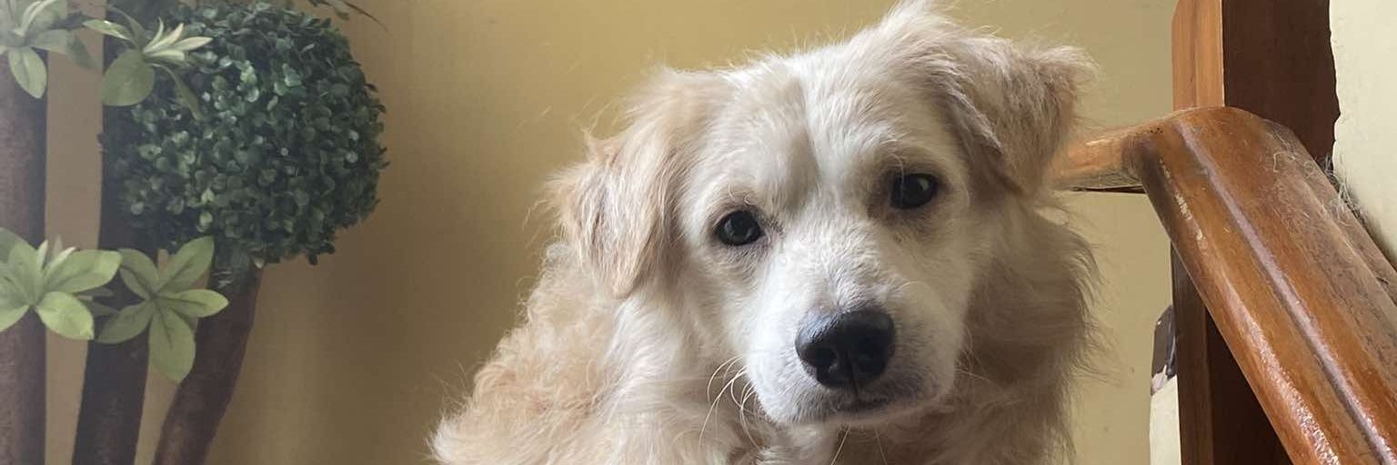 BetterCallMeAks's profile banner image