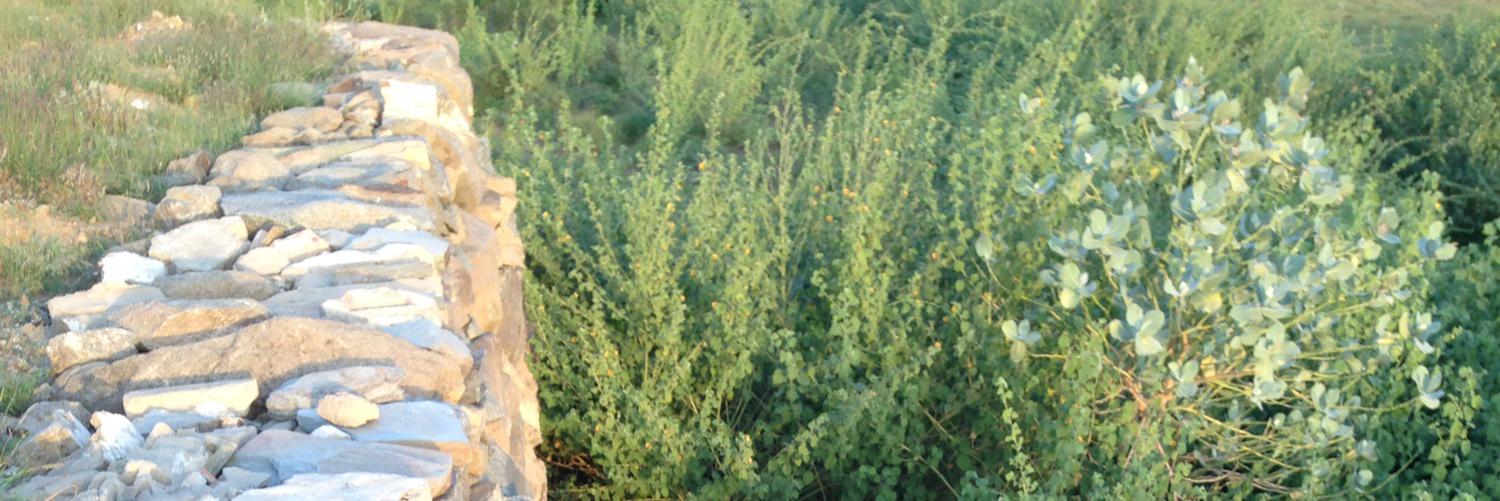 Godaillh's profile banner image