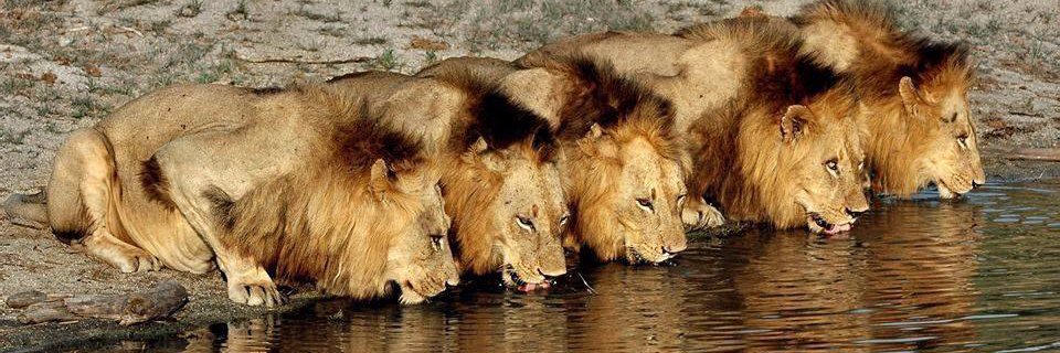 Lerrod Smalls banner