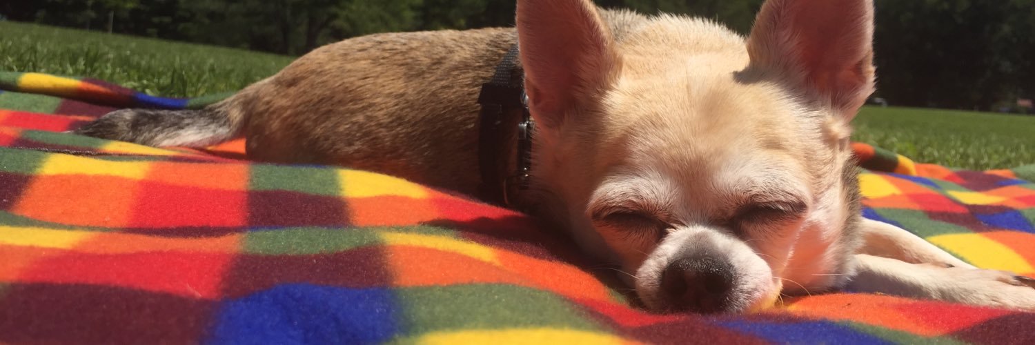 Pebbles Stone banner