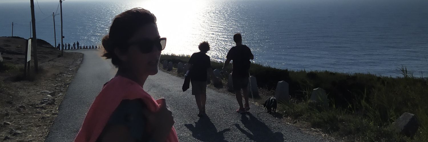 krnvet's profile banner image