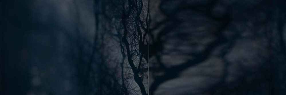 Katevcarpenter's profile banner image